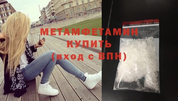 прущие грибы Вяземский