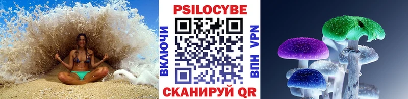 купить   Дудинка  Псилоцибиновые грибы Psilocybe 