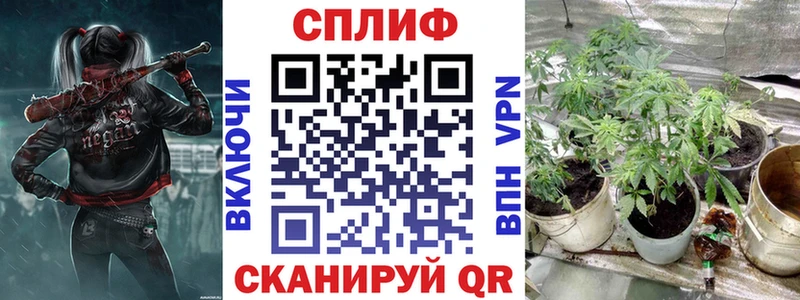 Бошки марихуана OG Kush  купить наркоту  Дудинка 